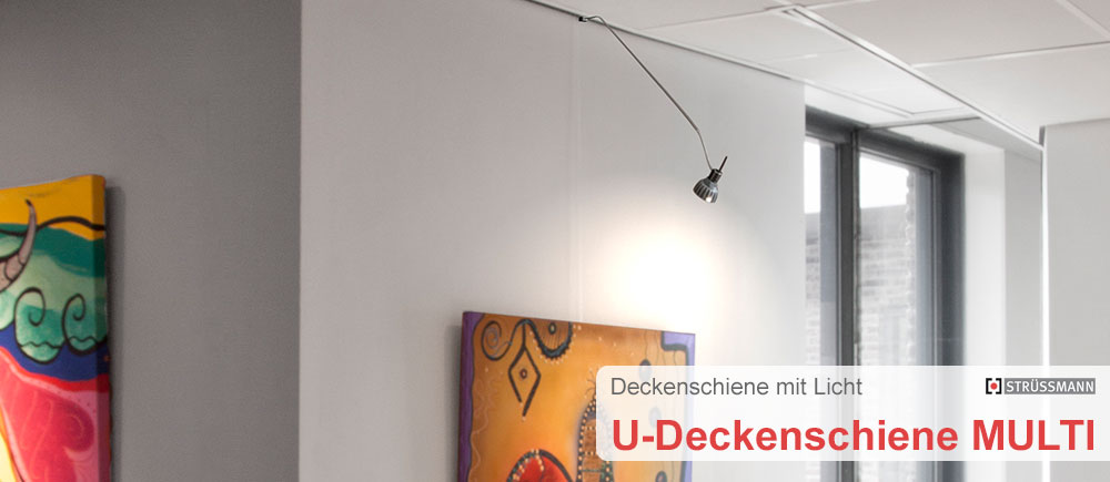 u-deckenschienen struessmann