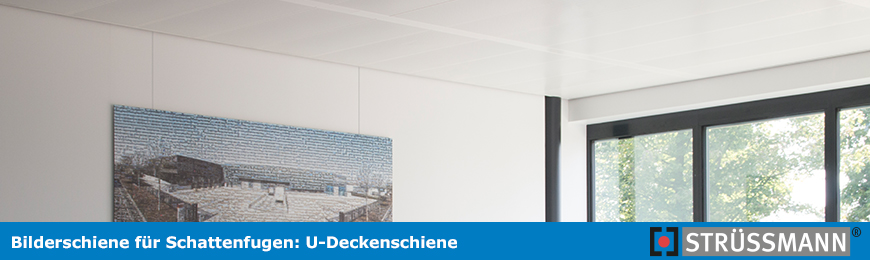 u-deckenschiene